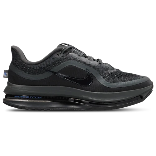 Paire Nike pegasus